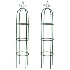 VidaXL Arche de jardin en forme de tour 2 pcs
