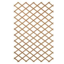 Nature Palissades de jardin 2 pcs 100 x 200 cm Bois Vert