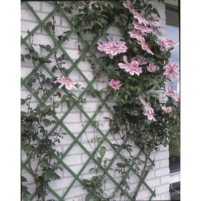 Nature Palissade de jardin 100 x 200 cm PVC Vert – Image 2