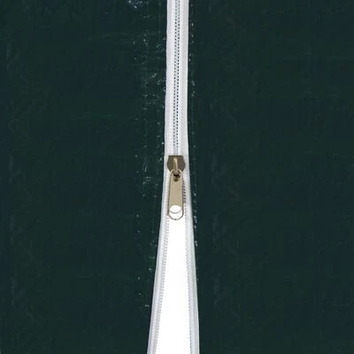 VidaXL Tente de réception 3 x 4 m Vert – Image 5